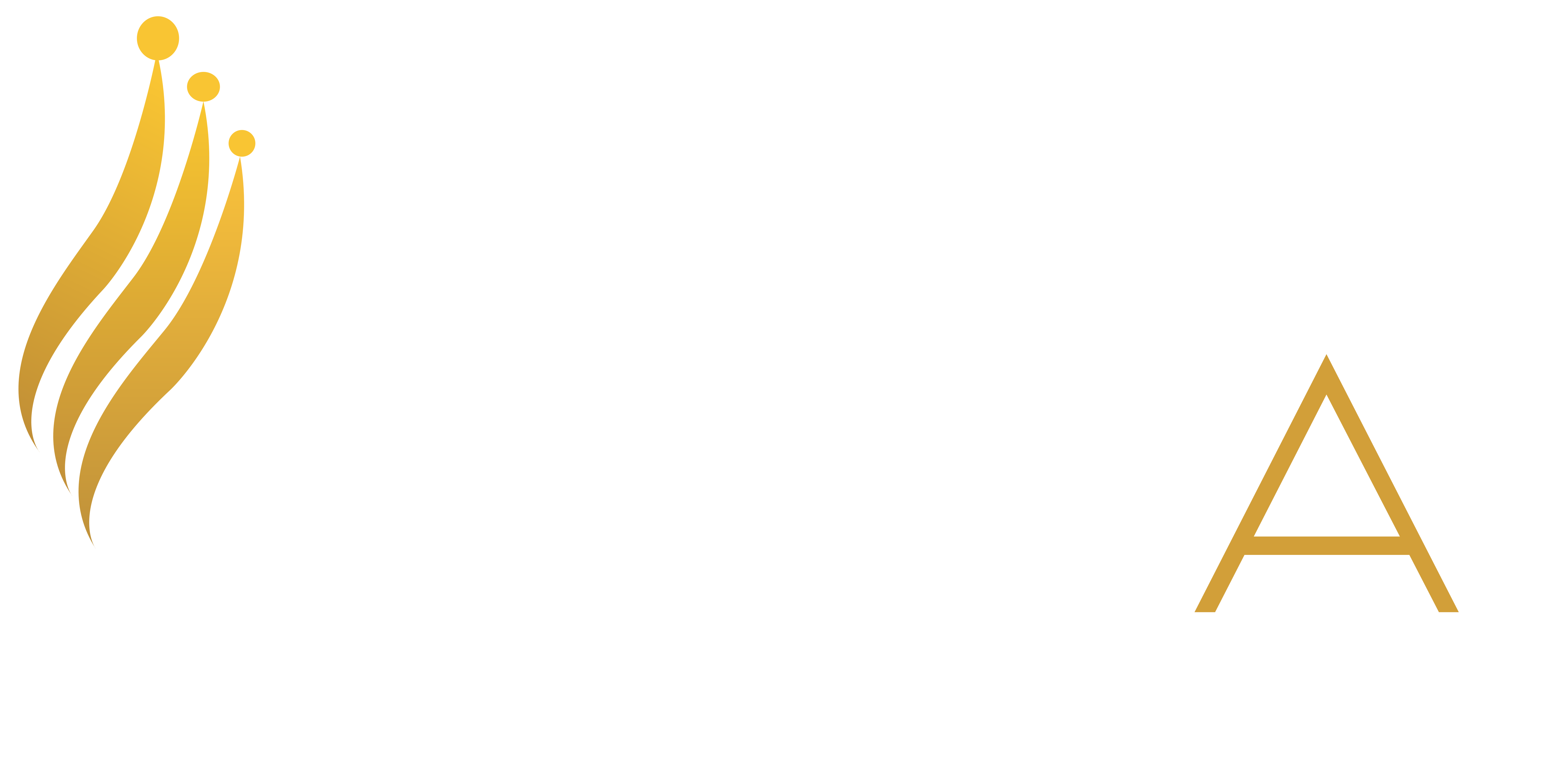 Crona Unisex Salon